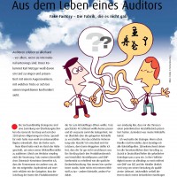 Aus dem Leben eines Auditors Fake Factory by Karl Metzger