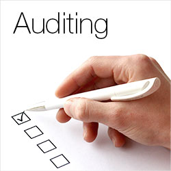 Auditing