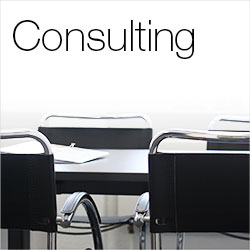 Consulting